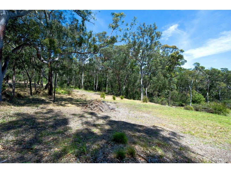 11 Seagrass Row, Murrays Beach NSW 2281