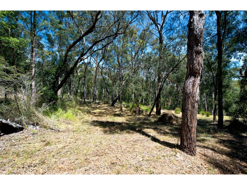 11 Seagrass Row, Murrays Beach NSW 2281