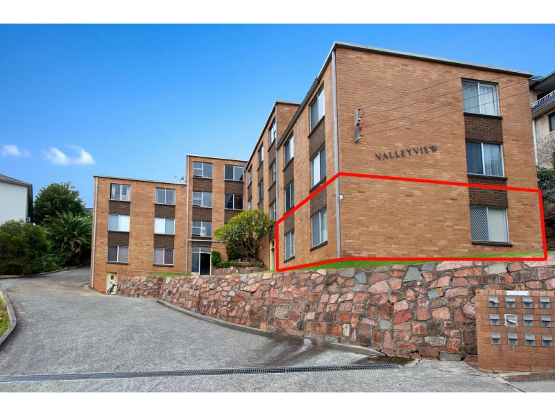 1/33 Nesca Parade, The Hill NSW 2300