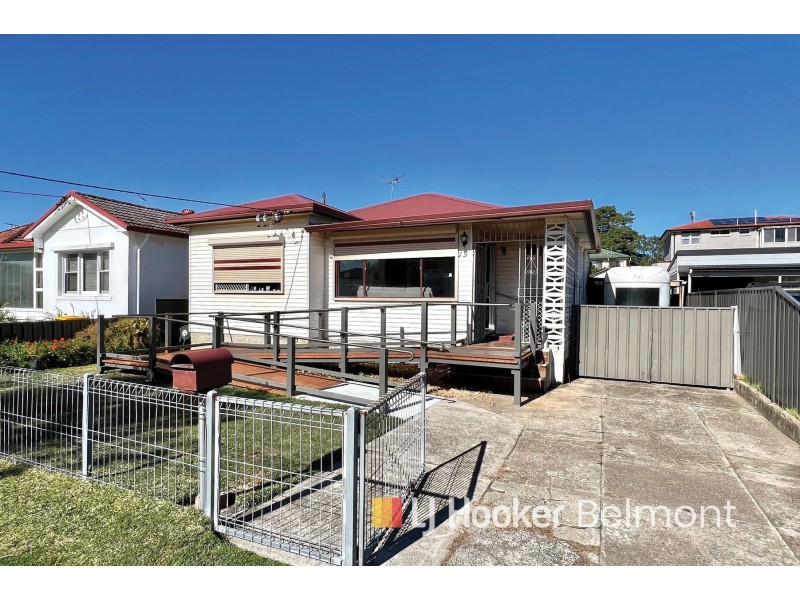 19 Thompson Street, Belmont South NSW 2280