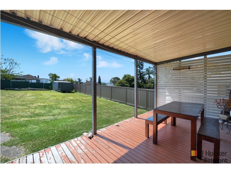 39 Lake Street, Windale NSW 2306