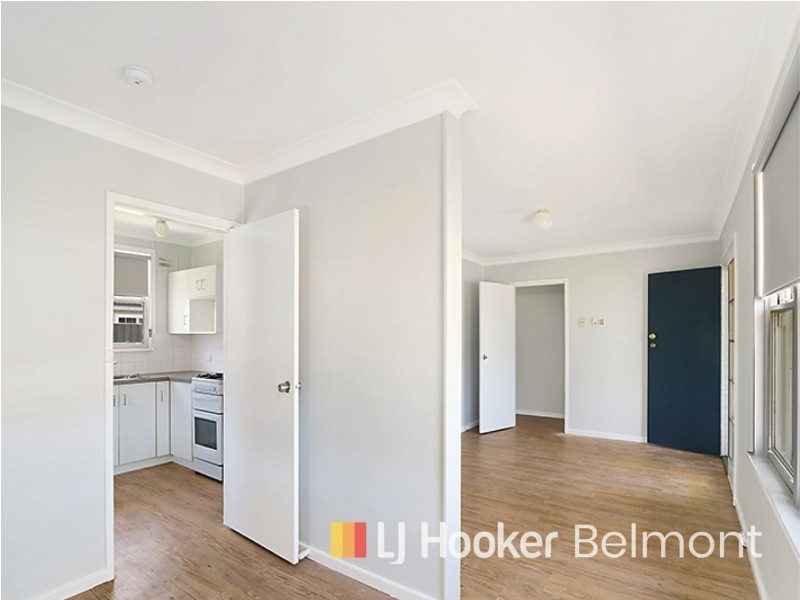 11 Cassia Crescent, Gateshead NSW 2290