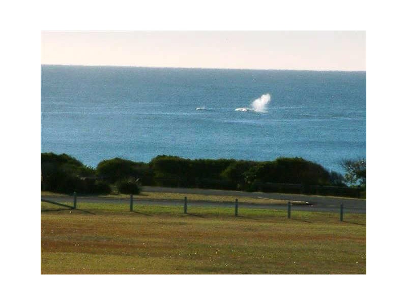33 The Esplanade, Caves Beach NSW 2281
