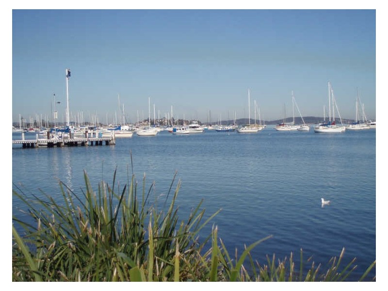 3 Sharp Street, Belmont NSW 2280