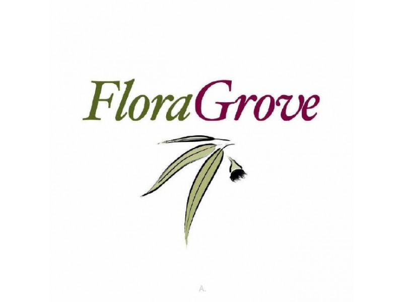 Floraville NSW 2280