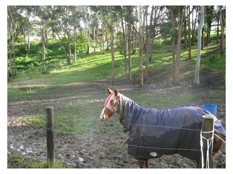 1 Royal Street, Warners Bay NSW 2282