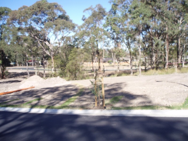 Lot 301 Floribunda Street, Floraville NSW 2280