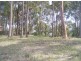 Lot 407 Maria Court, Floraville NSW 2280
