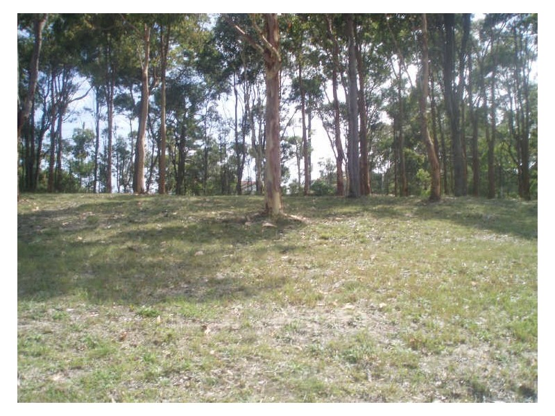 Lot 410 Maria Court, Floraville NSW 2280