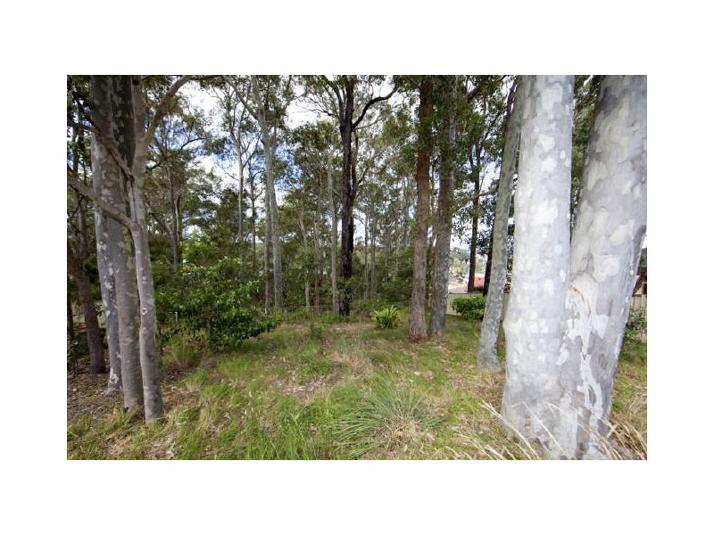 42 Imperial Close, Floraville NSW 2280