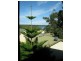 46 Government Road, Nords Wharf NSW 2281