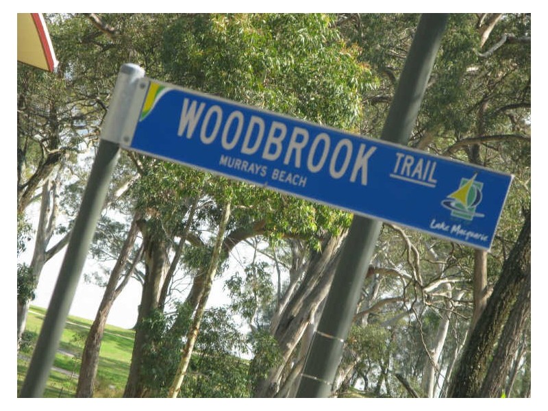 4 Woodbrook Trail, Murrays Beach NSW 2281
