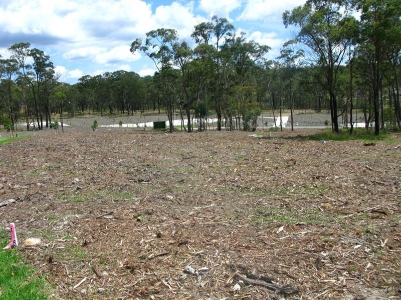 L 1017 41 Cleveland Street, Cameron Park NSW 2285