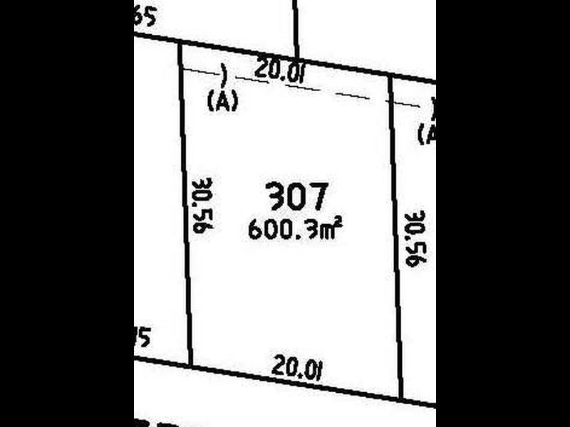 Lot 307 Floribunda Street, Floraville NSW 2280