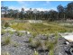 Lot 2014 Cameron Grove Estate, Cameron Park NSW 2285