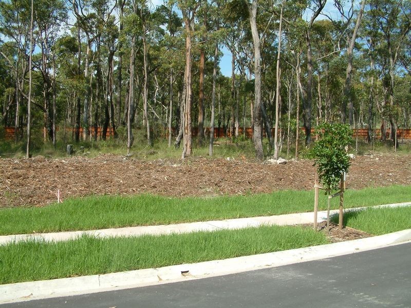 Lot 2025 Cameron Grove Estate, Cameron Park NSW 2285
