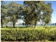 8 Lakeside Drive, Swansea NSW 2281