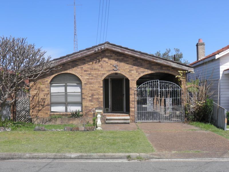 3 Williams Street, Belmont South NSW 2280