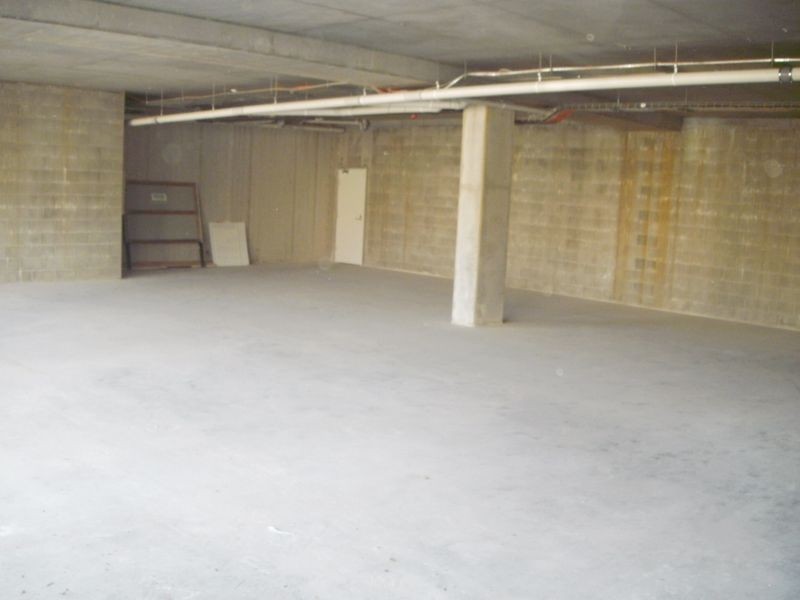 1/17 Edgar St, Belmont NSW 2280