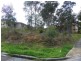 2 Hadlow Drive, Cameron Park NSW 2285