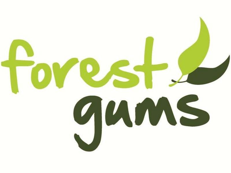 Forest Gum Woodlands Drive, Weston NSW 2326