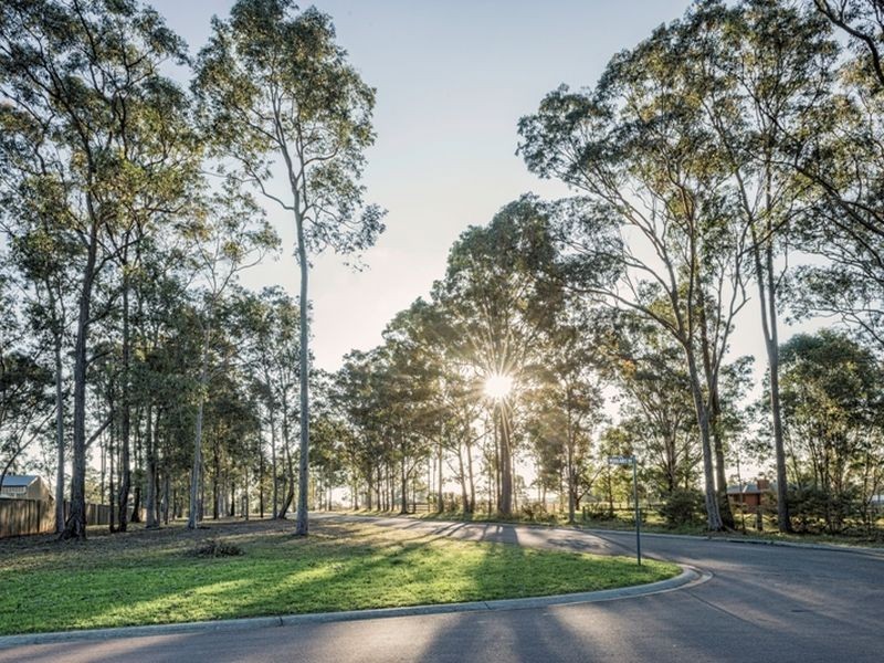 Forest Gum Woodlands Drive, Weston NSW 2326