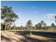Forest Gum Woodlands Drive, Weston NSW 2326