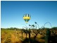 202/Forest Gum Woodlands Drive, Weston NSW 2326