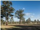 210/Forest Gum Lorikeet Close, Weston NSW 2326
