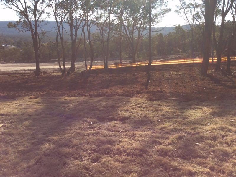 437/ Exploration Street, West Wallsend NSW 2286