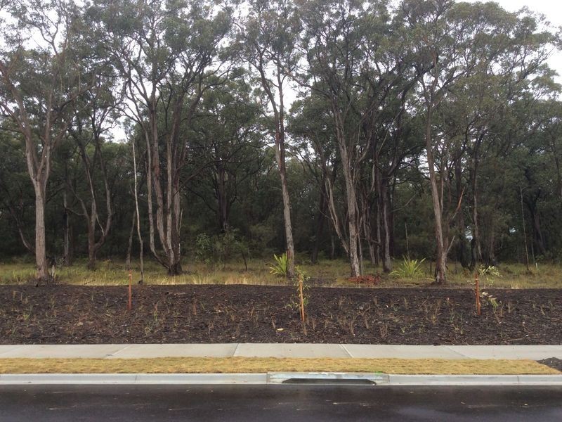 437/ Exploration Street, West Wallsend NSW 2286