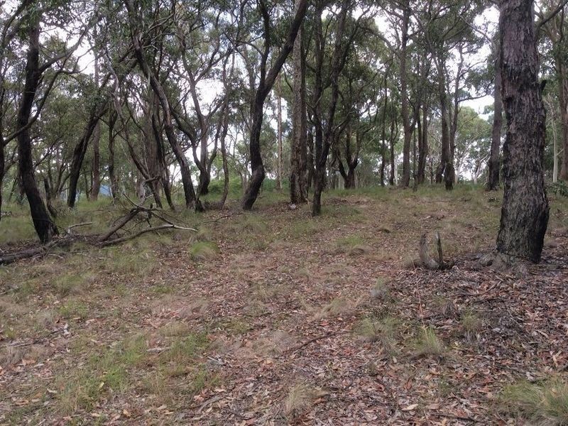 438/ Exploration Street, West Wallsend NSW 2286