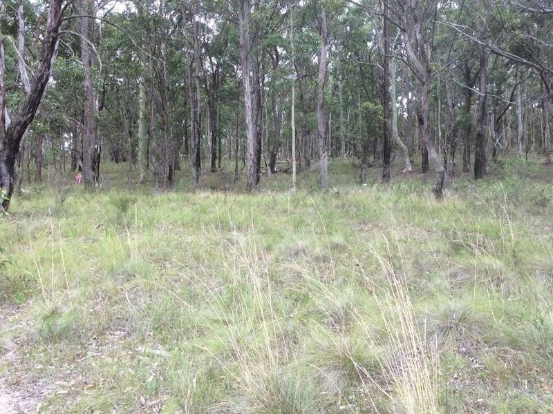 418/ Royalty Street, West Wallsend NSW 2286