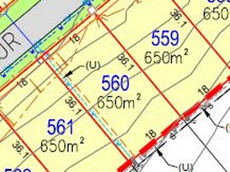 560/ Conveyor Street, West Wallsend NSW 2286