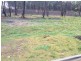 Lot 120 Withers Street, West Wallsend NSW 2286