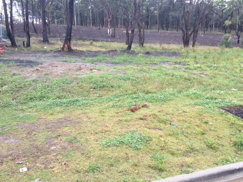 Lot 120 Withers Street, West Wallsend NSW 2286