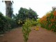 Gunnedah NSW 2380