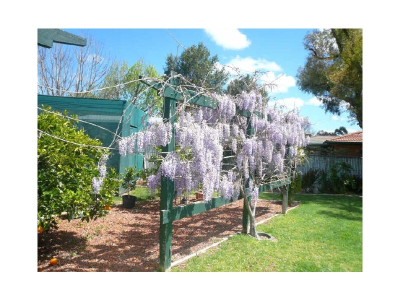 Gunnedah NSW 2380