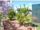 Gunnedah NSW 2380