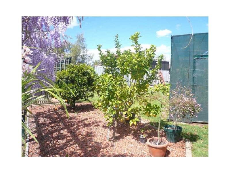 Gunnedah NSW 2380