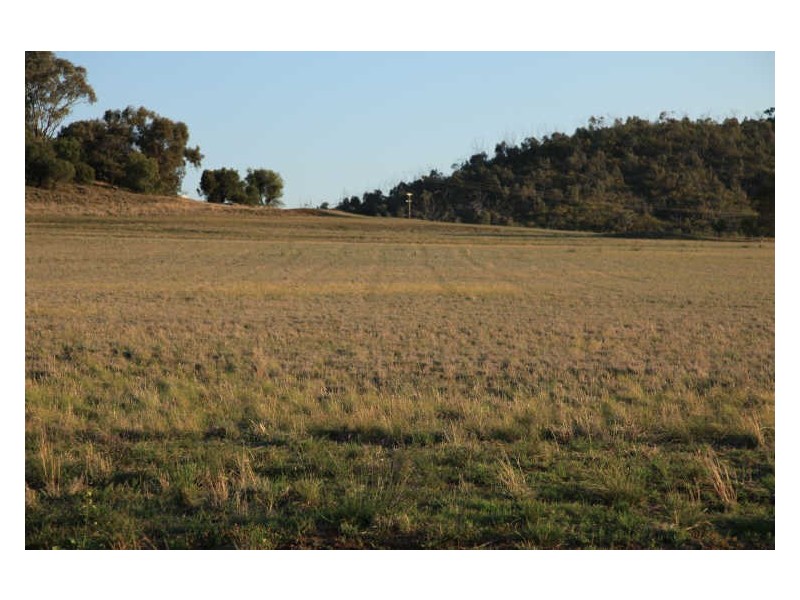 269-273 Stock Road, Gunnedah NSW 2380