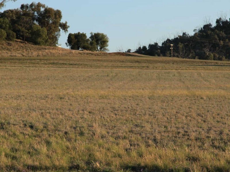 269-273 Stock Road, Gunnedah NSW 2380