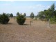 6 Carlyon Ave, Gunnedah NSW 2380