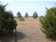 6 Carlyon Ave, Gunnedah NSW 2380