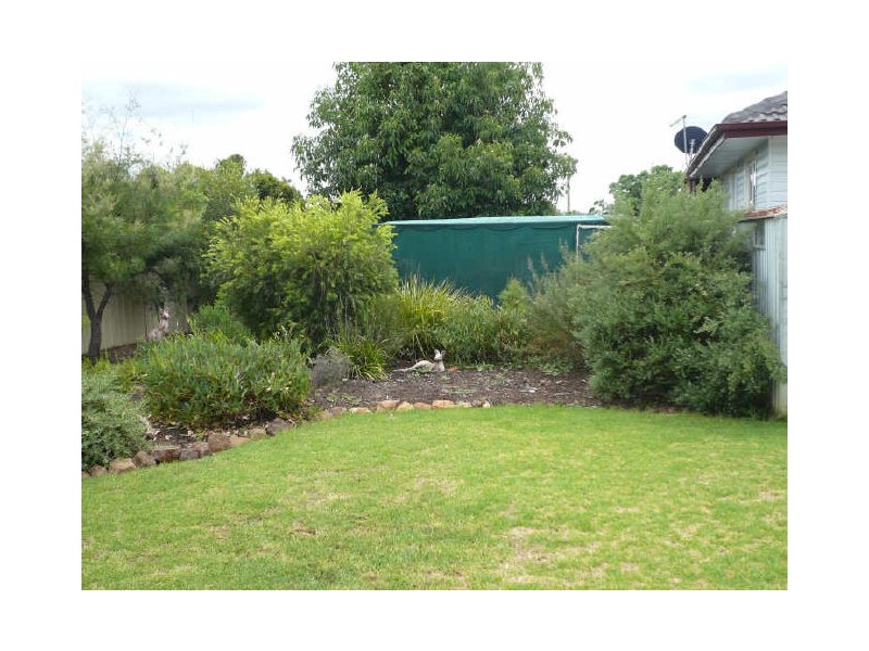 37 Jaeger Ave, Gunnedah NSW 2380