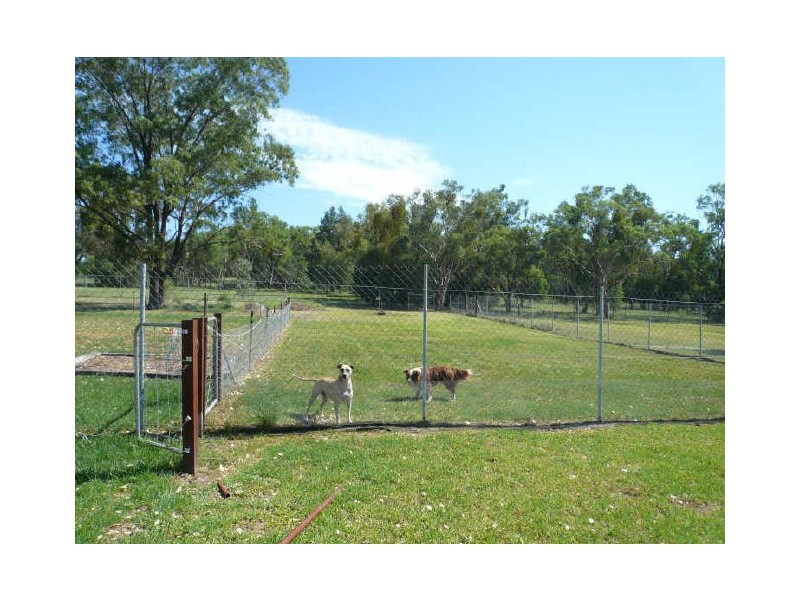 38 Bushs Lane, Gunnedah NSW 2380