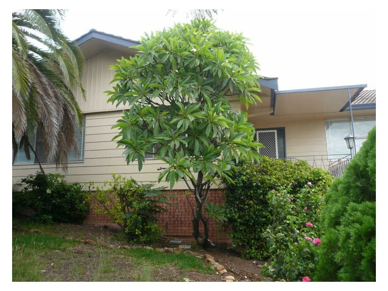 51 Baxter Street, Gunnedah NSW 2380