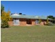 Gunnedah NSW 2380