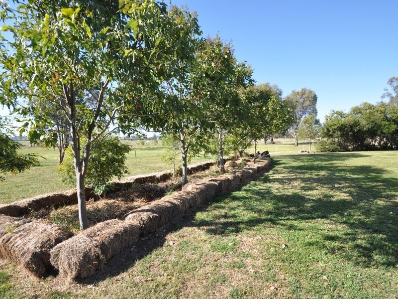Gunnedah NSW 2380