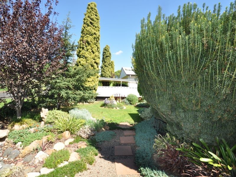 50B Carroll Street, Gunnedah NSW 2380